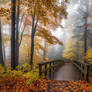 Nochmal der Herbst