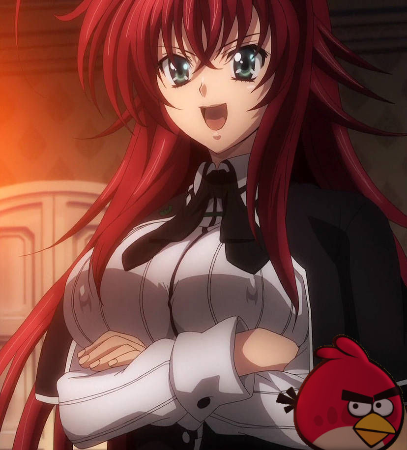 Angry Rias Rias Gremory and her red bird by Theangrybirddxdteen on DeviantArt