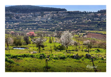 Gush Etzion