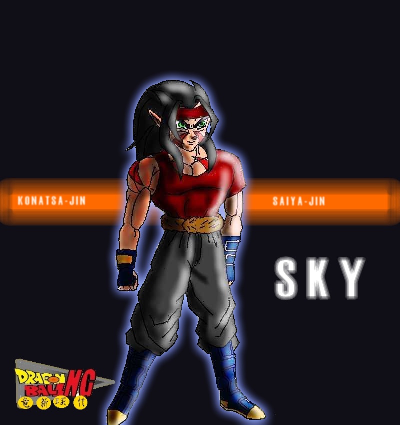 warrior sky