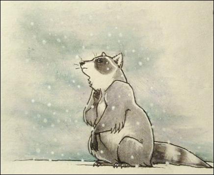 raccoon in the snow