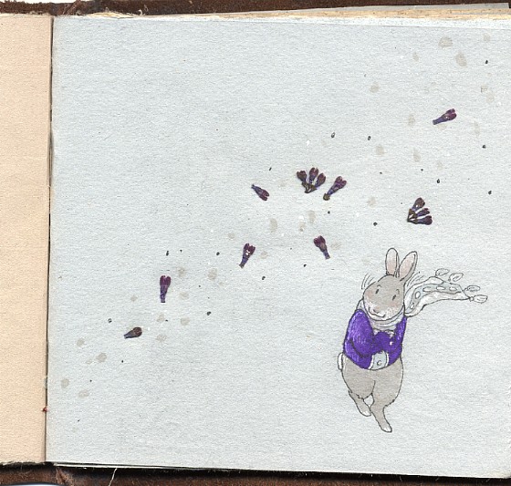 art book - rabbit