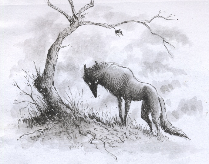 pen sketch creepy wolf