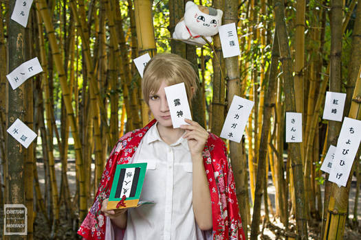 Natsume - Natsume Yuujinchou