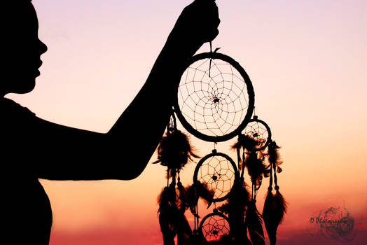 Dreamcatcher