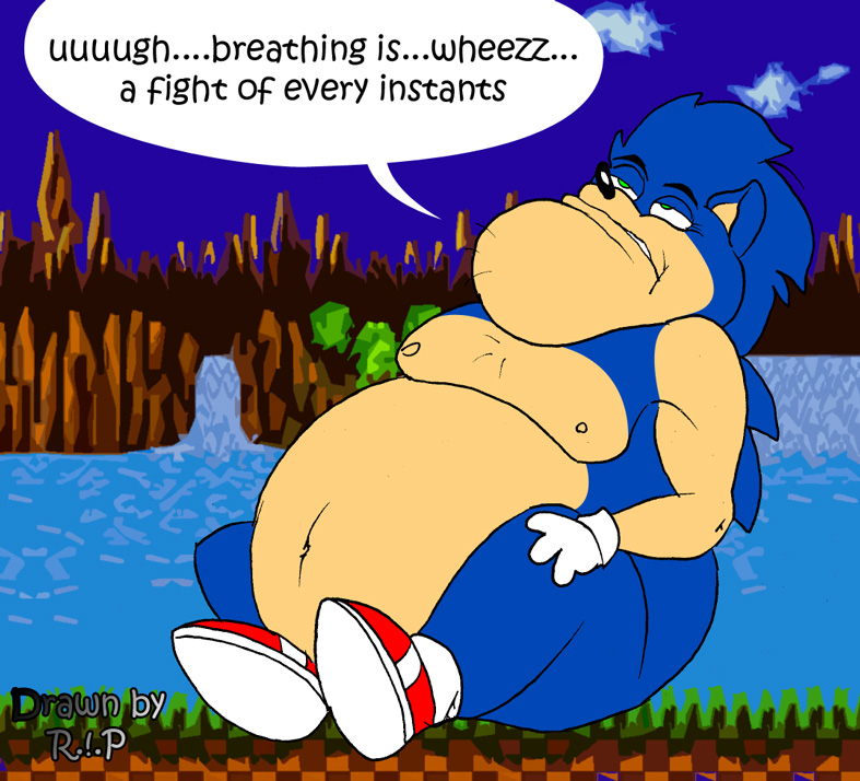 Fat Sonic