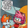 Tails and Amy Rose