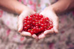 Delicious red berries by Pamba