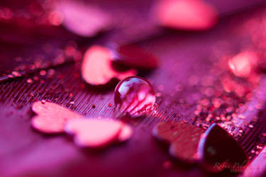Valentines day by Pamba