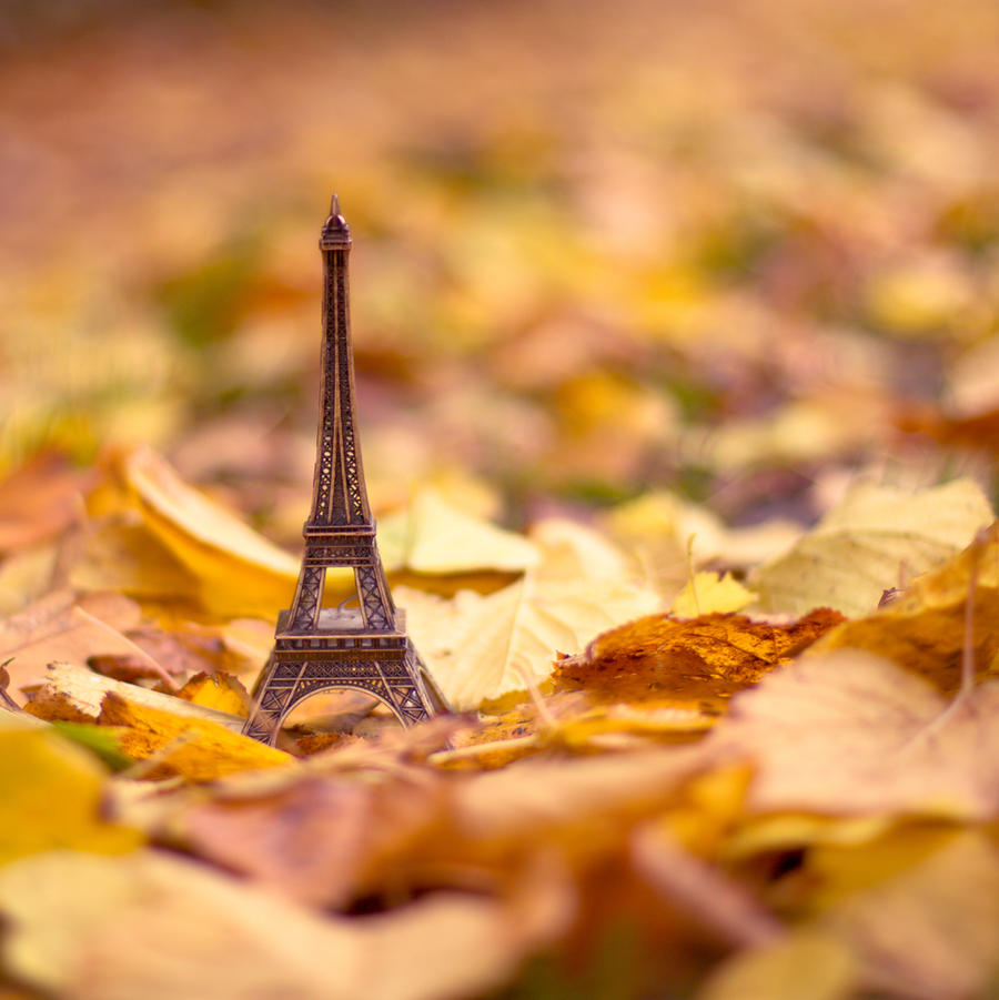 Paris in autumn