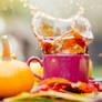 Fresh autumn tea