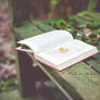 Storytelling