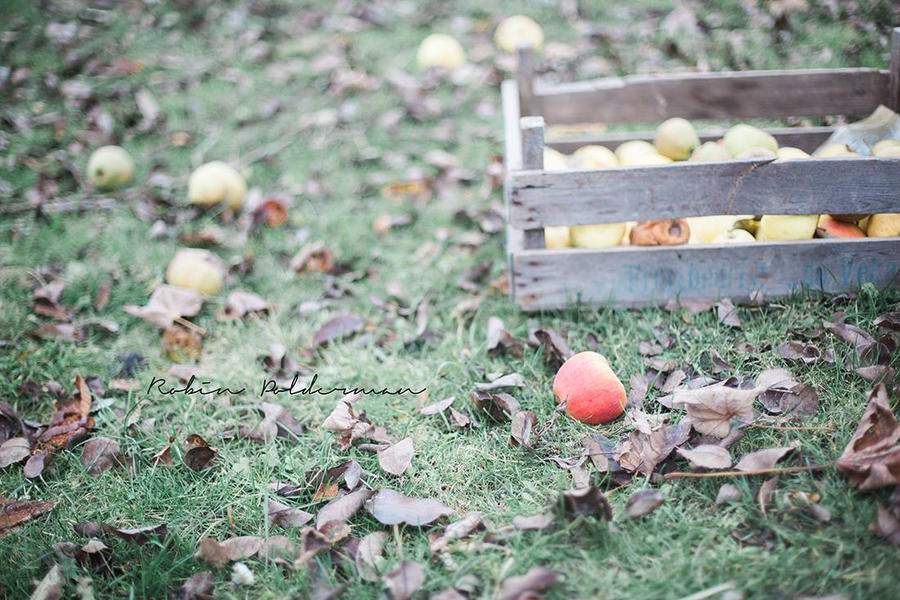 An apple a day..