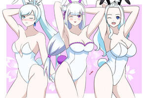 White Bunnies