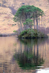 Island in Loch Lomond