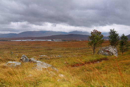 On Rannoch Moor