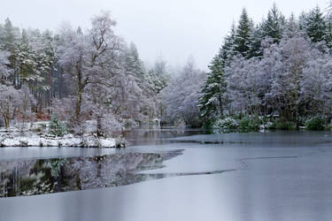 Frozen pond