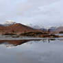 Rannoch Moor reflections