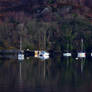 Yachts on Loch Leven