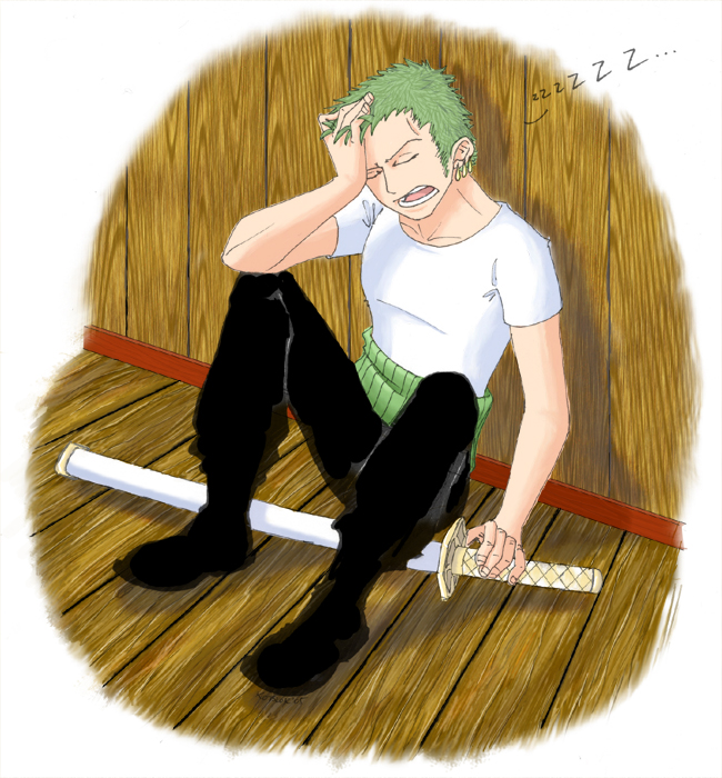 Zoro Sleeping Colour