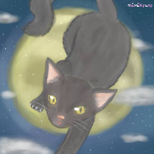 Cat over the moon!