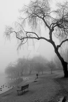 Lost Lagoon