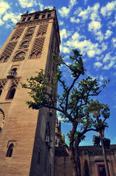 Giralda