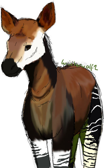 Okapia Practice by Winterwolf2 on DeviantArt