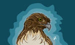 Red Tailed Hawk by NReedy