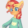 Sunset in Mabel`s sweater