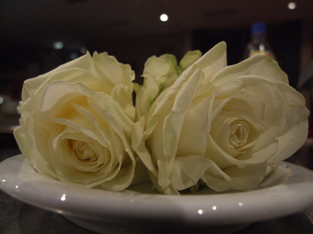 white roses