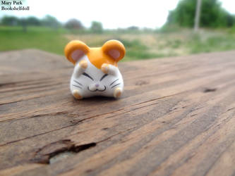 Bashful Hamtaro