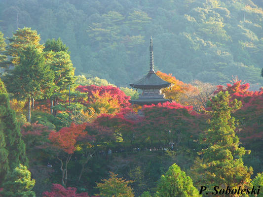 Kiyomizudera