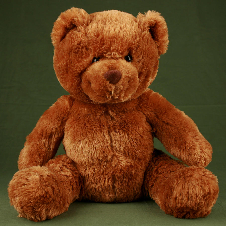 Teddy Bear I