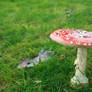 Toadstool II