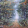 Forest road.