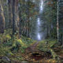 In the forest