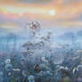 From a series of fogs