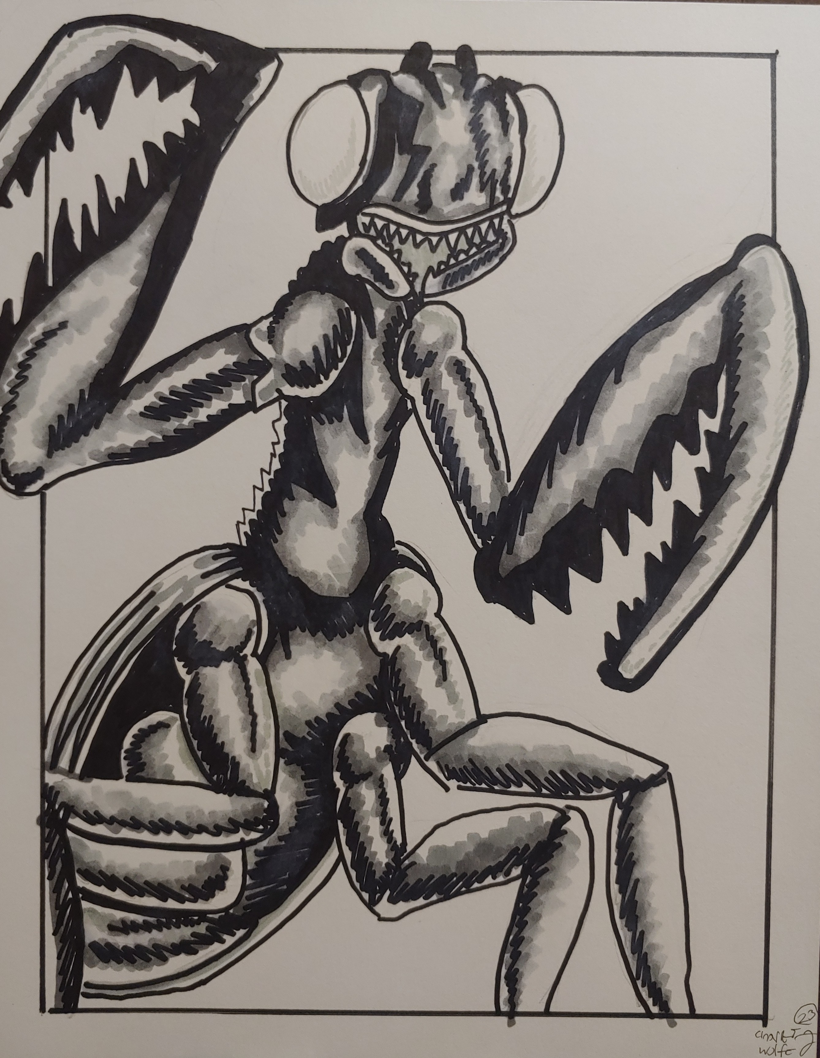 Mants Deviantart The Deadly Mantis by charleswolfe61 on DeviantArt