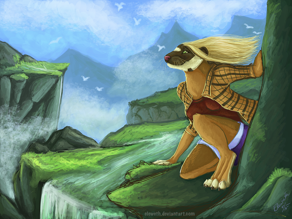 Speedpaint: The Adventurer commission