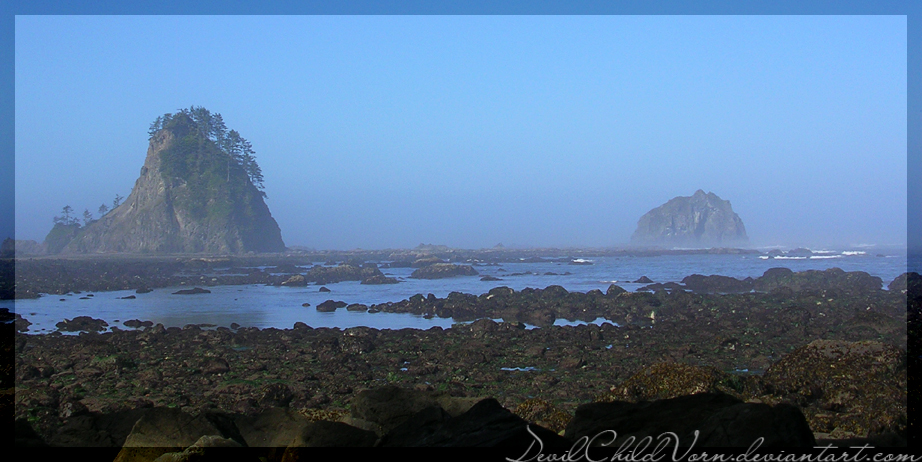 Olympic Coast 3