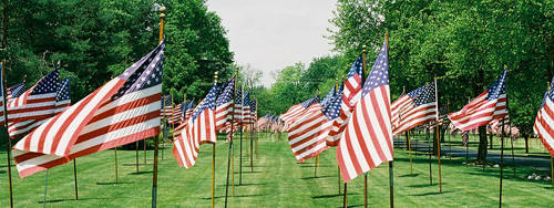 Valley of the Flags