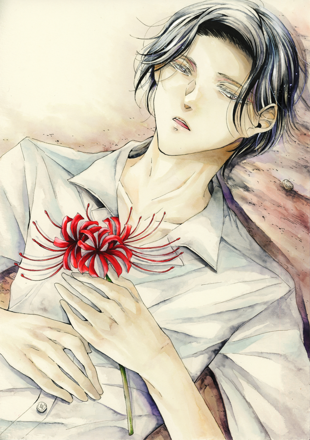 Cluster Amaryllis By Amaharu11 On Deviantart Cluster Amaryllis By Amaharu11 On Deviantart