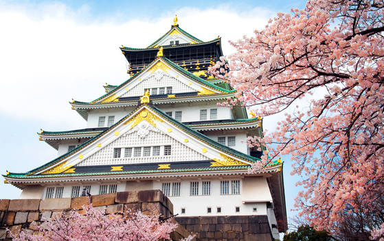 Osaka Jyou with Sakura