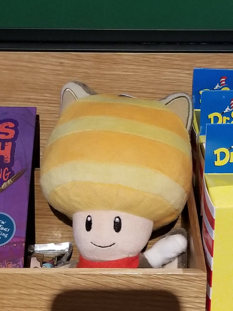 Toad Cat Rabbit Toad Cat Plushie by Mileymouse101 on DeviantArt