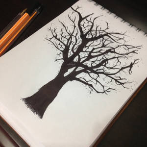 Black Tree