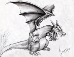 Charizard Smash