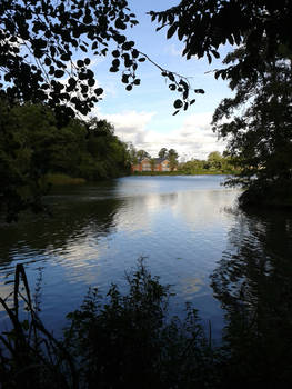 Whiteknights Lake