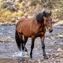 River Crossing