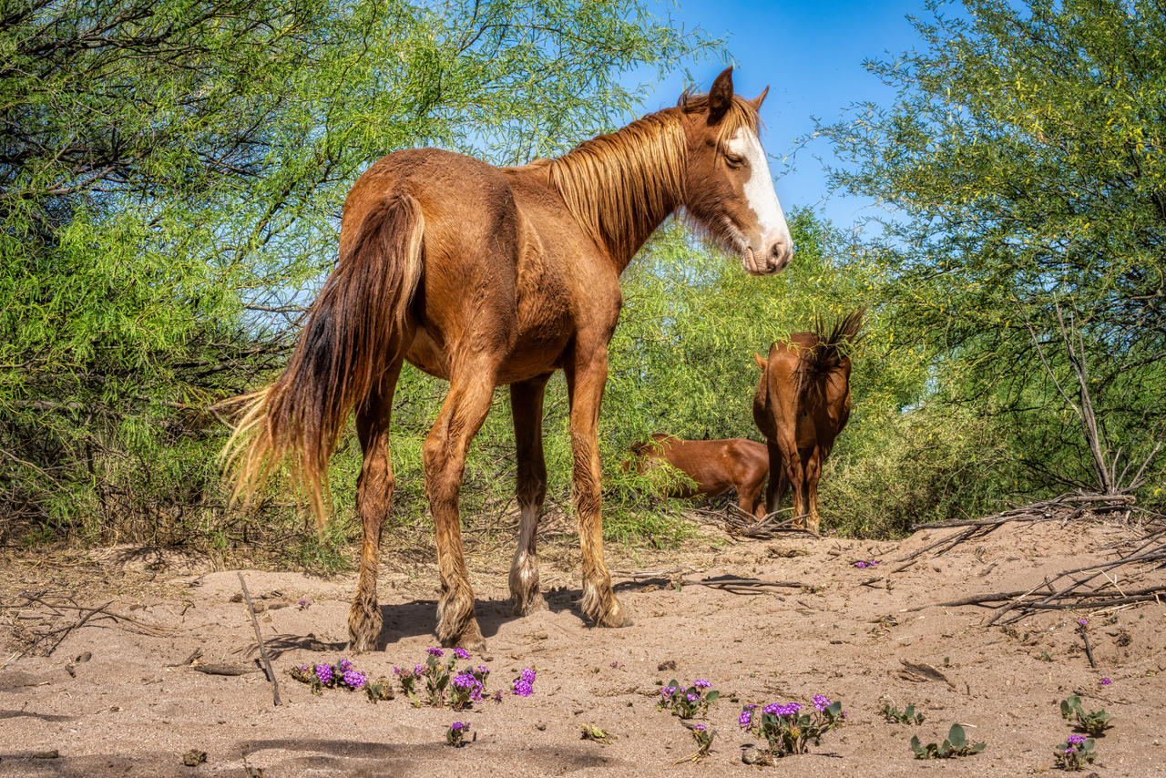 C'mon Let's Go by BrentCoulter on DeviantArt